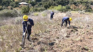 Wildfire Resiliency Project