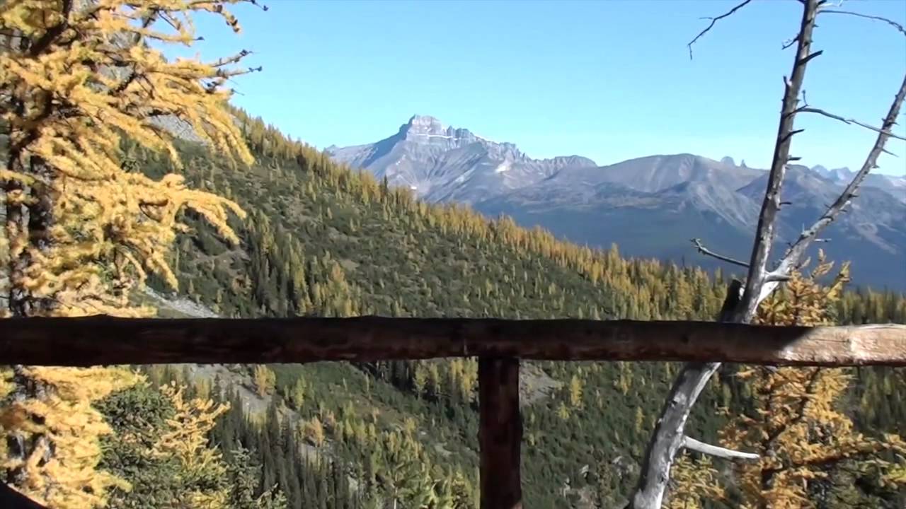 Canadian Rockies Alpine Hiking; "Inside the Fence" 2015