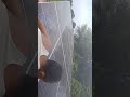 Holi