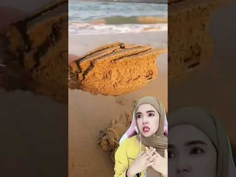 Video: Bagaimana kerang bernafas saat dikubur di pasir?