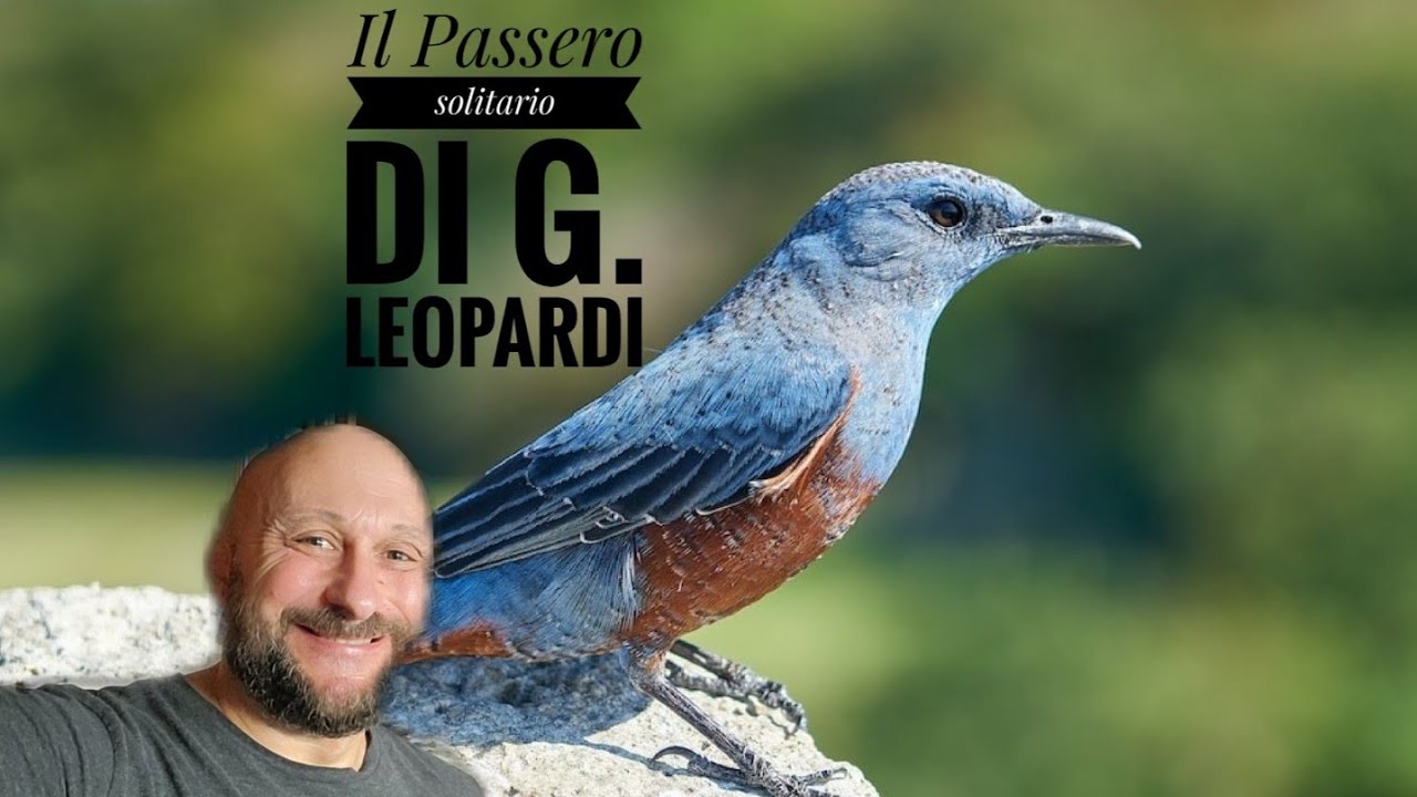 chi ha scritto il passero solitario