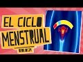 El ciclo menstrual - Biología - Educatina