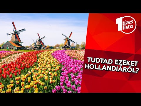 Videó: Amit Amszterdamban Láthat