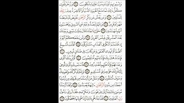 سورة الزخرف مقام الرست
