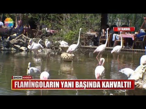 Catalca Kahvalti Mekanlari Keyifli Bir Kahvalti Icin Incelemeniz Gereken 8 Yer