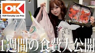 【1週間分まとめ買い】コスパが最強すぎるOKストア購入品紹介