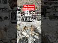 Manikaran Hot springs #travel #shorts #shortsfeed #shortvideo #short