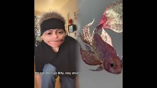 🤣👌👌👌2025 pov Must-Watch Crazy Clips Compilation #humor #fypシ #pov #fyp #foryou 😍😜