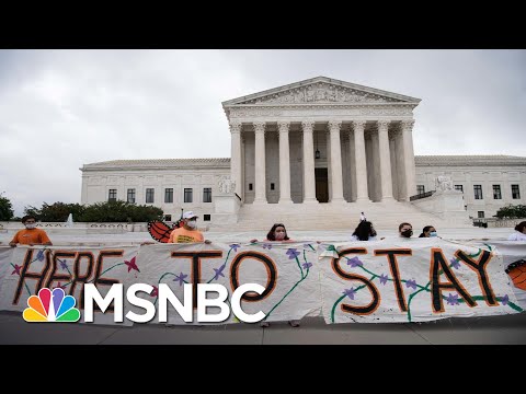 DACA Lawyer Says SCOTUS Decision Proves Rule Of Law Still Exists, Despite Trump | All In | MSNBC