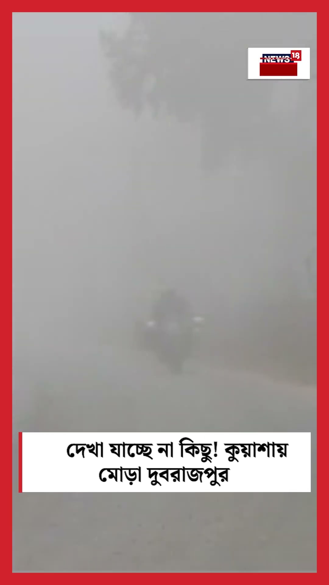 দেখা যাচ্ছে না কিছু! কুয়াশায় মোড়া Dubrajpur #shorts