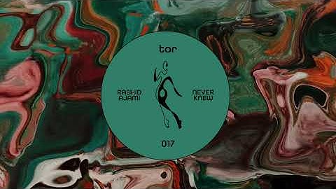 Rashid Ajami - Never Knew