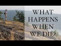 What happens when we die? Rupert Sheldrake