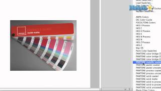 Learn Adobe Photoshop - Swatches Panel