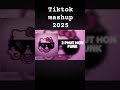 tiktok mashup 2025