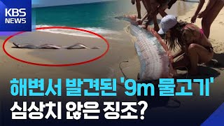 두 마리나멕시코 해변서 발견된 종말의 날 거대 물고기 잇슈 Sns Kbs 2026.03.10.