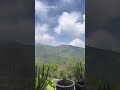 Alam yg indah #shorts #shortvideo #vlog