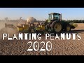 Planting Peanuts in Florida