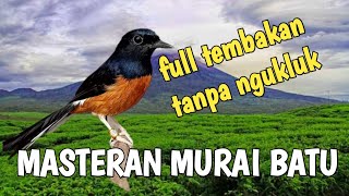 MASTERAN MURAI BATU FULL ISIAN TEMBAKAN ASLI HUTAN