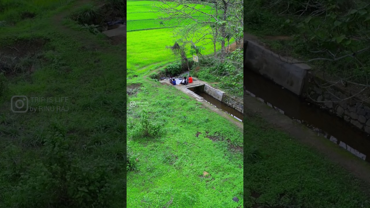 Childhood Nostalgia | Born in Kerala Village | 90s kids whatsapl status