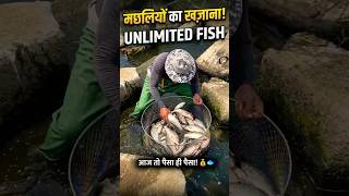 🦞🐟Found a SECRET FISH TREASURE under these rocks! 😱 💰#shorts #ytshorts #marinelife #aquarium