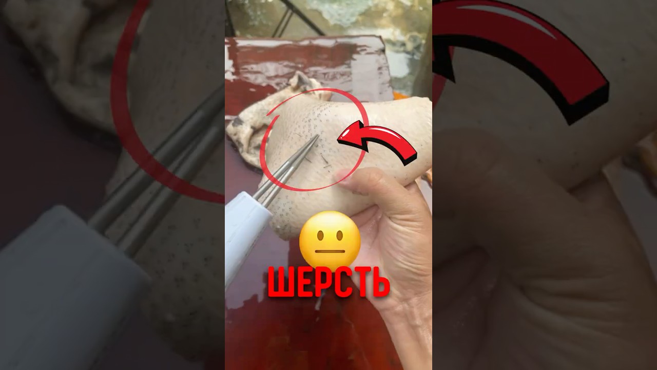 🐔 Странный прибор который используют на курицах! 