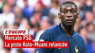 PSG : Kolo-Muani priorité du club pour l'attaque ?