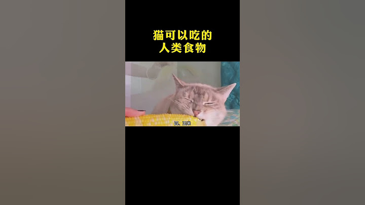 猫可以吃的几种人类食物 #猫 #萌宠 #涨知识 #科普 #涨知识 #健康科普 #科普知识 #冷知识 #科普达人 #百科 #奇葩冷知识 #健康