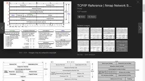 Loop Avoidance Nanda Day6 TCP Server and TCP Client Part 4