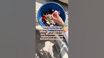 Composting & Climate Change: 1