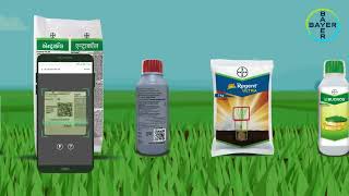 Bayer Product Authentication Tool - बायर के उत्पादों की वैधता की जाँच (Hindi) | Bayer Crop Science
