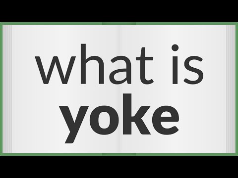 What does yoke mean in slang?