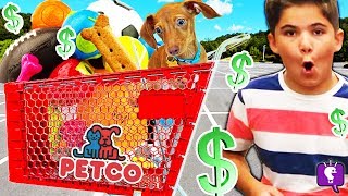 We Get Flappy  Everything He Touches! Petco Shopping Haul Challenge at Pet Store by HobbyKidsTV