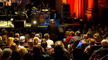 "String Pulse Experience": Daisy Jopling