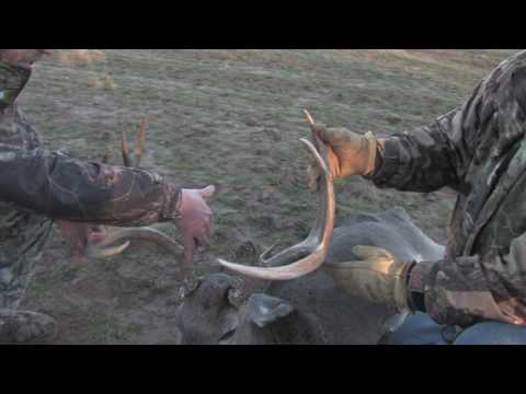 Watch Sandstone Ranch Charity Hunt 2017 on YouTube