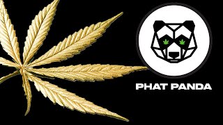 Inside a 60,000 Sq. Ft. Grow Op Farms/Phat Panda: Unveiling Successful Growing Methods | Canna Cribs