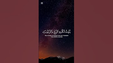 هو الذي انزل من السماء ماء #تلاوة_خاشعة #تلاوة_هادئة