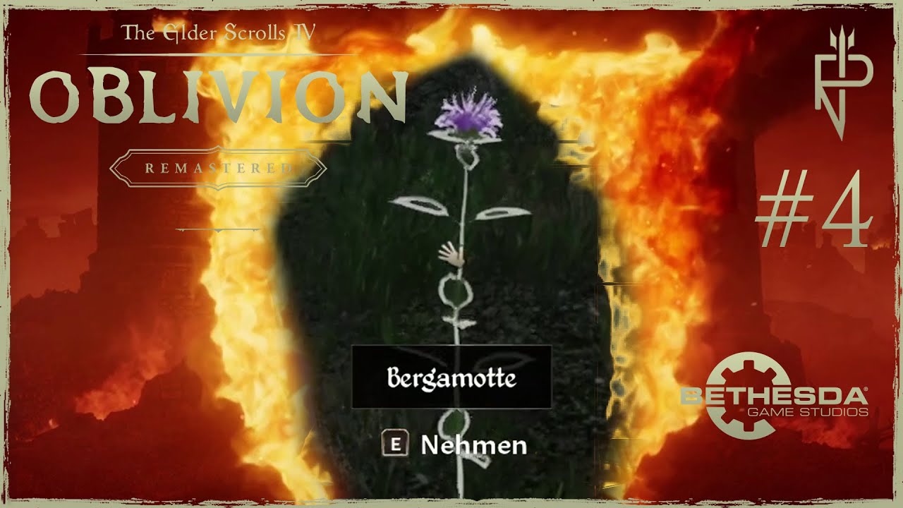 Let’s Play TES IV Oblivion REMASTERED #4 Das riecht gut - YouTube