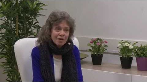 Coming to Wholeness with Connirae Andreas Low, 360p