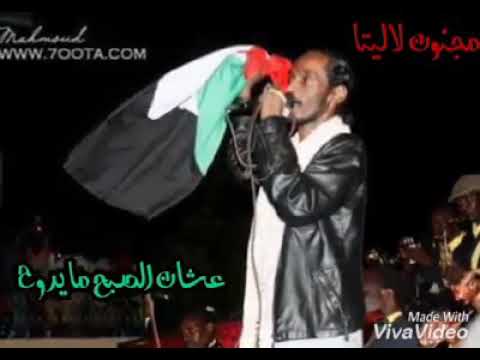الفنان محمود عبدالعزيز اقمار الضواحى