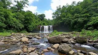 🌬️ Crystal Clear Waterfall Sounds | 12 Hour Live Nature View