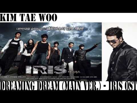 [MP3 DL] Kim Tae Woo - Dreaming Dream (IRIS OST)