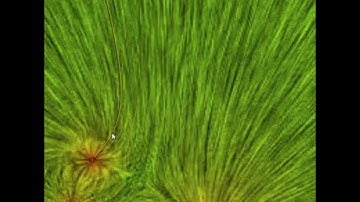 Potential Vector Field - Dynamic Streamline