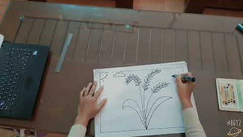 TẠO HÌNH DẠY TRẺ VẼ CÂY LÚA