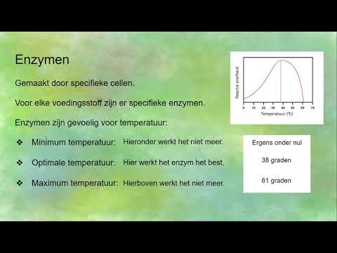 Video: Wat is de functie van Thermogenine?