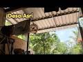 Suasana desa yang asri | ada burung puter