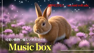 どうぶつたちと一緒に眠るオルゴールBGM