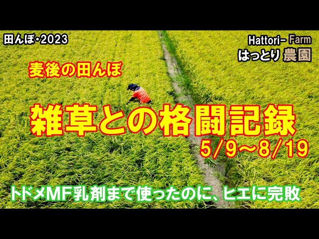 松本竹敏「夕暮れに草を積む農夫」 松本竹敏「夕暮れに草を積む農夫」