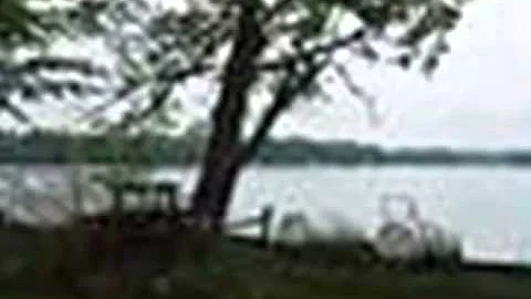 Homes for Sale - 00000 NORTH SHORE Lake MI 48632 -...