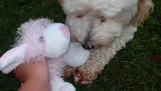 Webkinz play outside [music video]