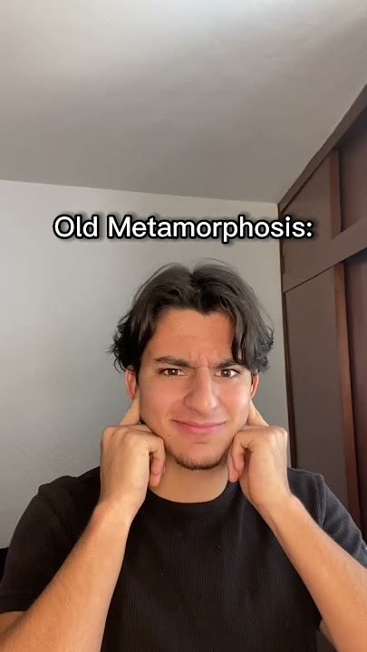 Old vs new Metamorphosis